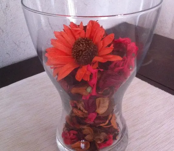 Tatil Evi Helle Sonne